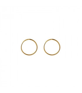 Gold Hoop earrings