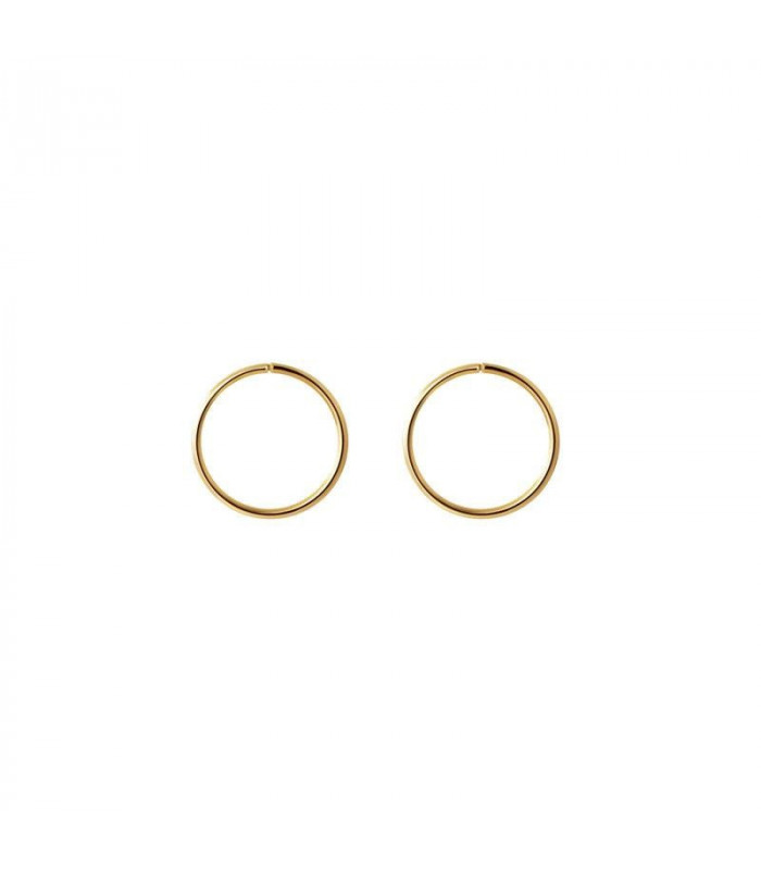 Gold Hoop earrings