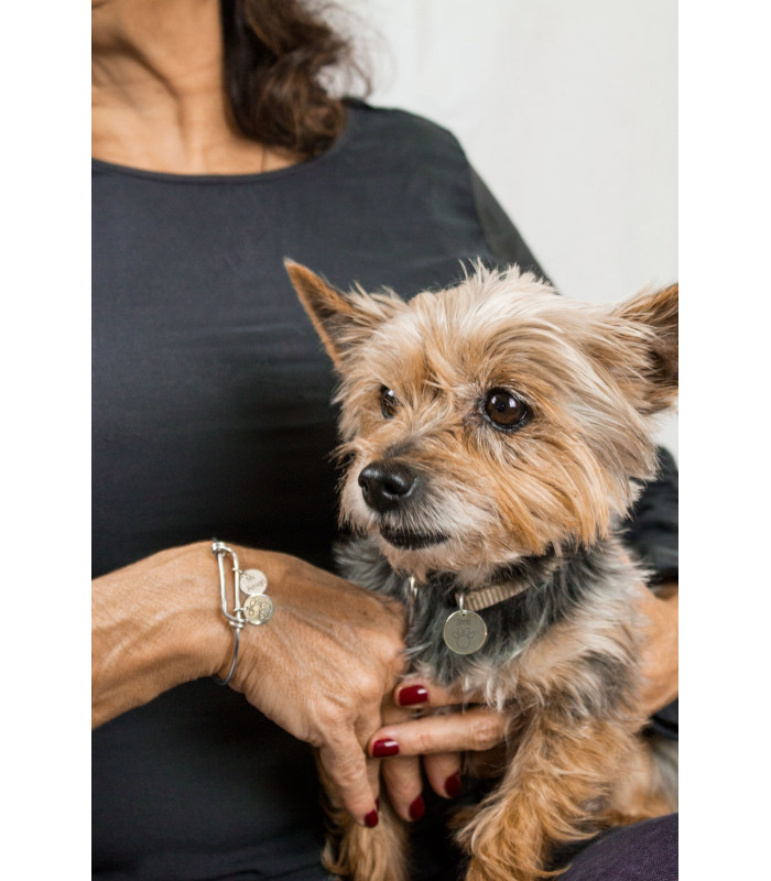 Silver bracelet Pets