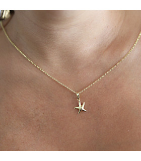 Gold plated starfish choker