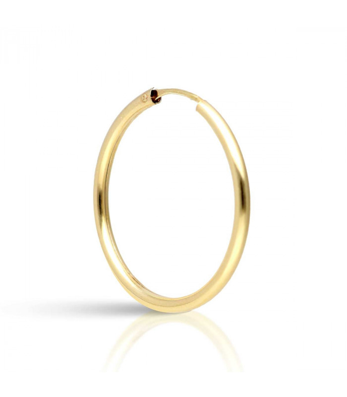 Gold Hoop Earring