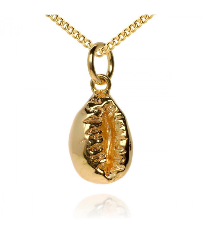 Golden shell pendant