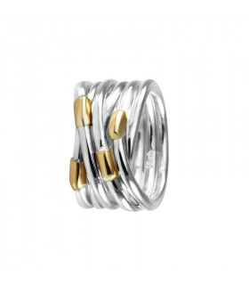 Silver and gold ring